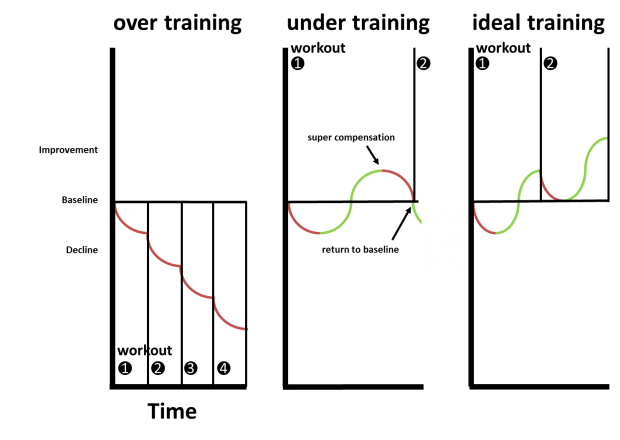 Supercompensation